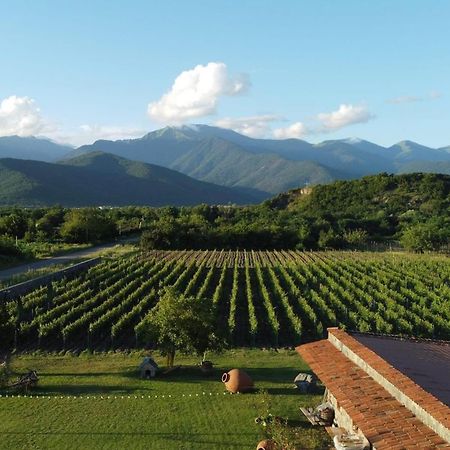 Chubini Winery & Cabins Kvareli Exterior photo