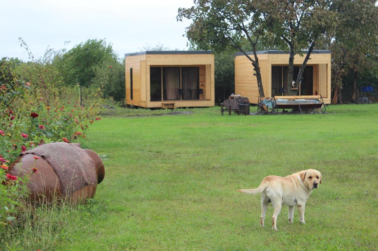 Chubini Winery & Cabins Kvareli Exterior photo