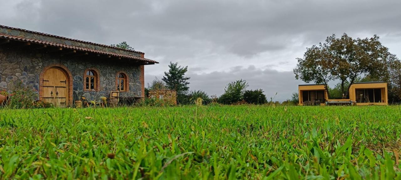 Chubini Winery & Cabins Kvareli Exterior photo