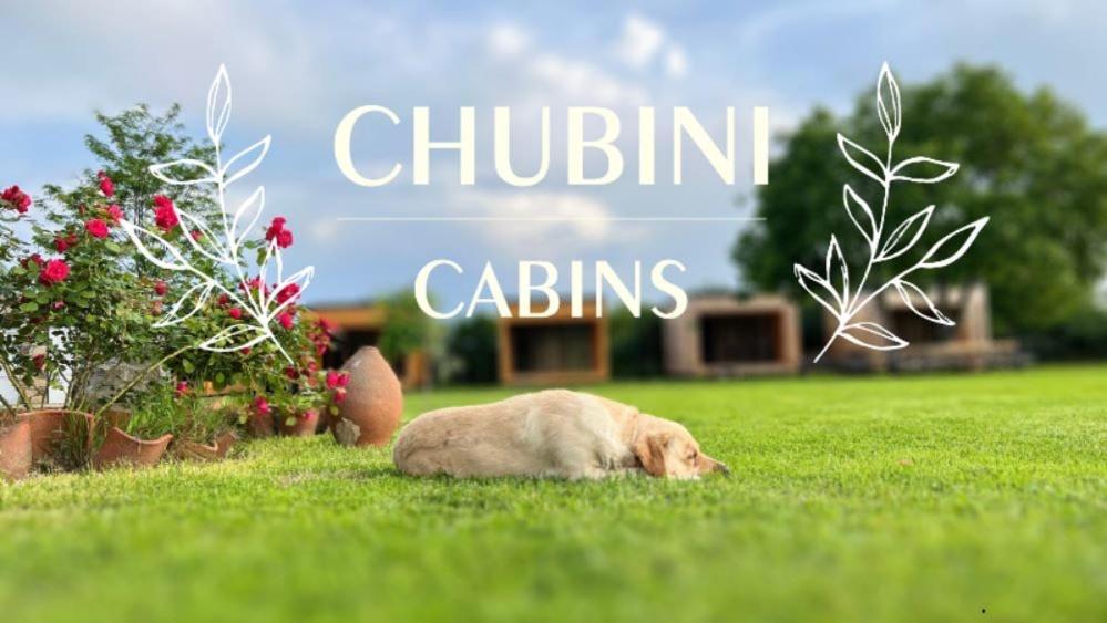 Chubini Winery & Cabins Kvareli Exterior photo