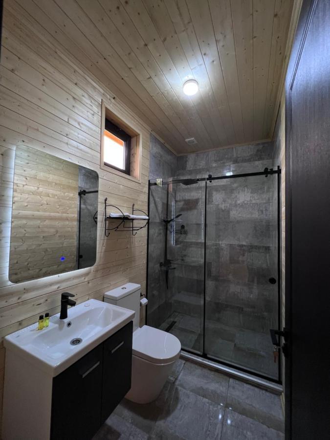 Chubini Winery & Cabins Kvareli Exterior photo