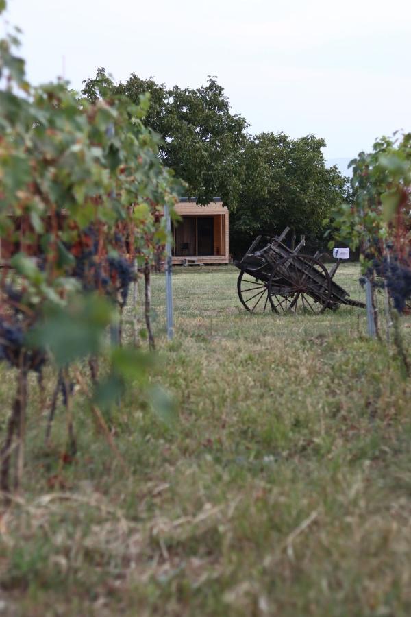 Chubini Winery & Cabins Kvareli Exterior photo