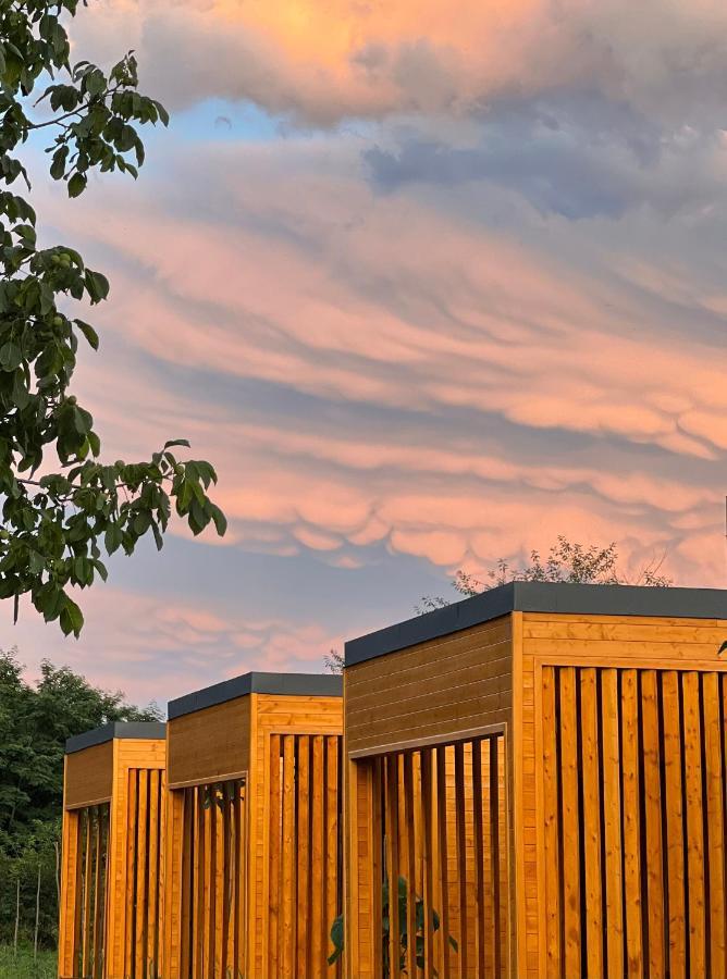 Chubini Winery & Cabins Kvareli Exterior photo