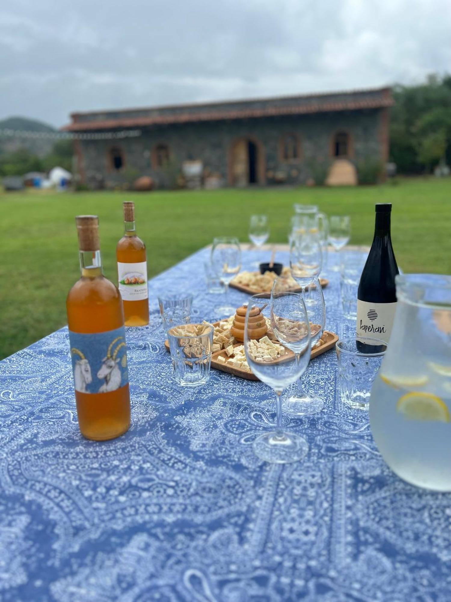 Chubini Winery & Cabins Kvareli Exterior photo