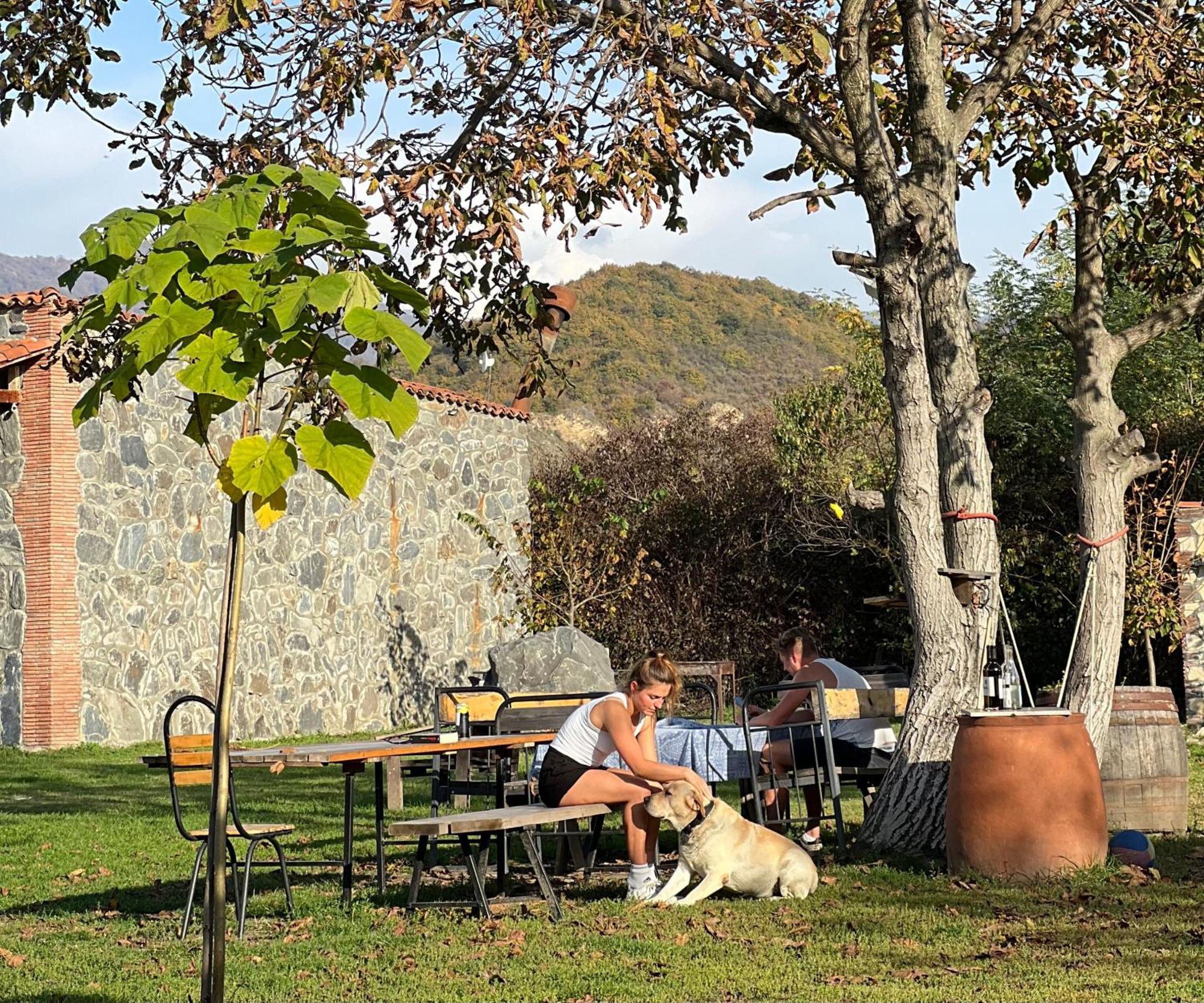 Chubini Winery & Cabins Kvareli Exterior photo