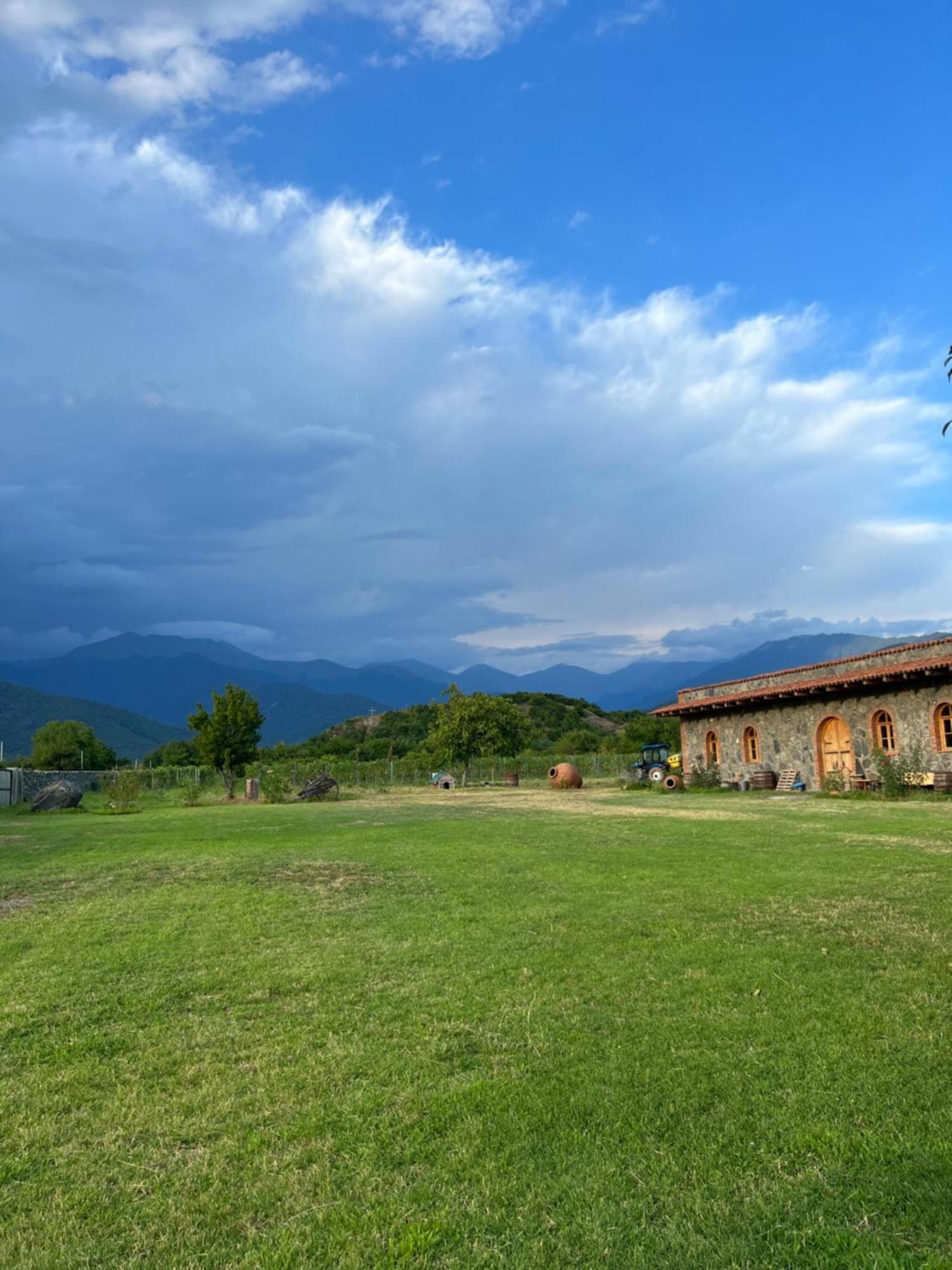 Chubini Winery & Cabins Kvareli Exterior photo