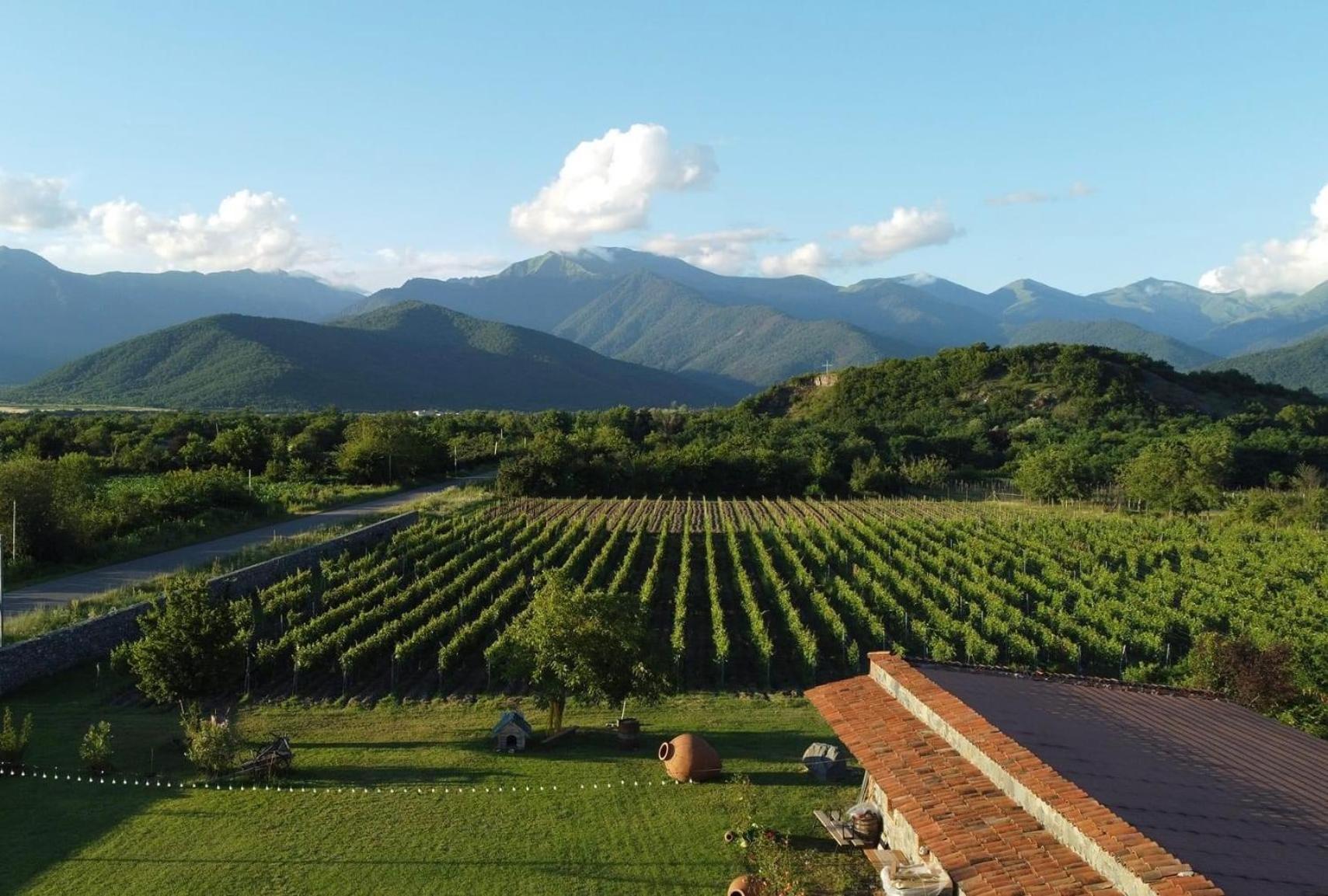 Chubini Winery & Cabins Kvareli Exterior photo