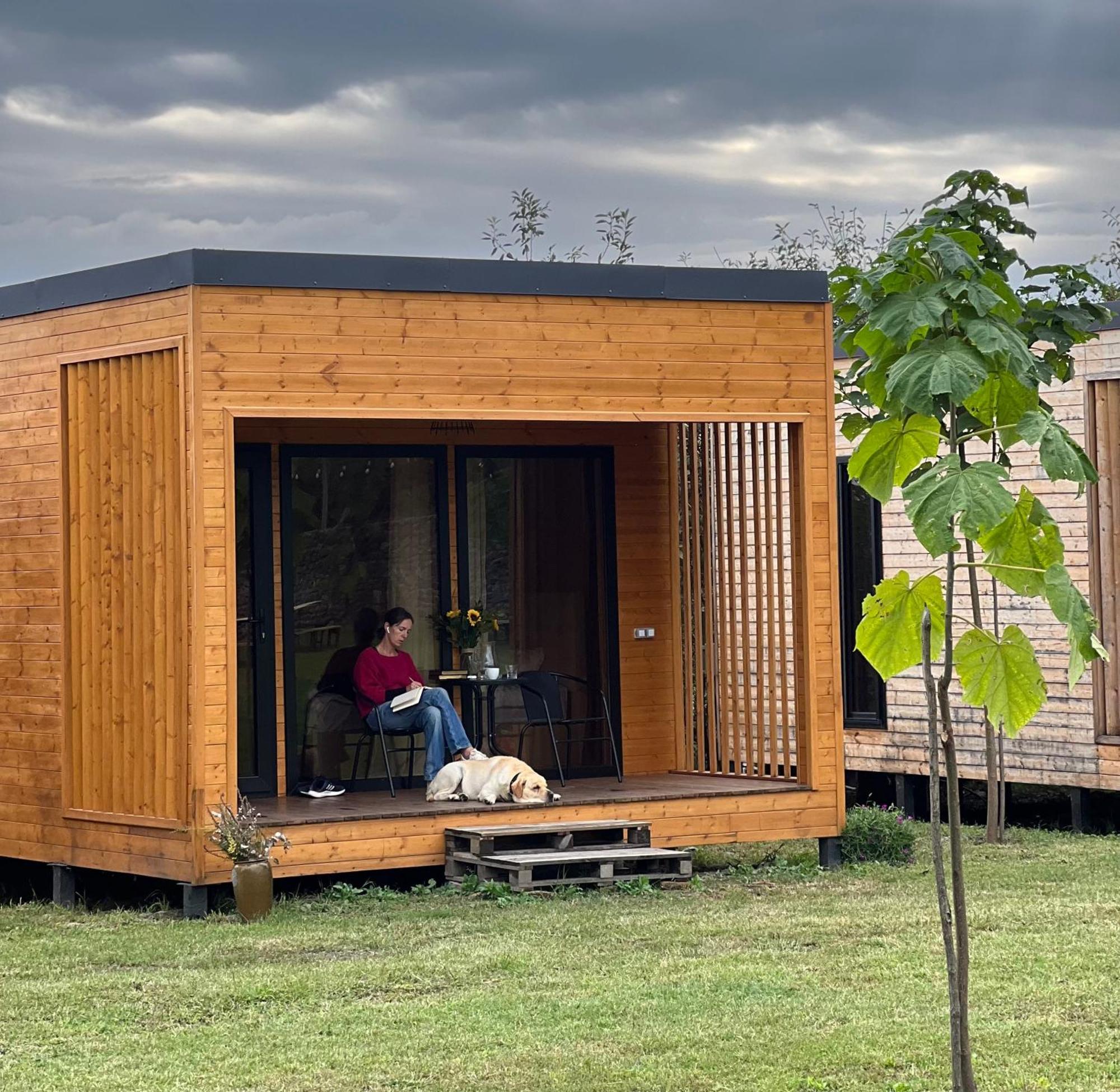 Chubini Winery & Cabins Kvareli Exterior photo