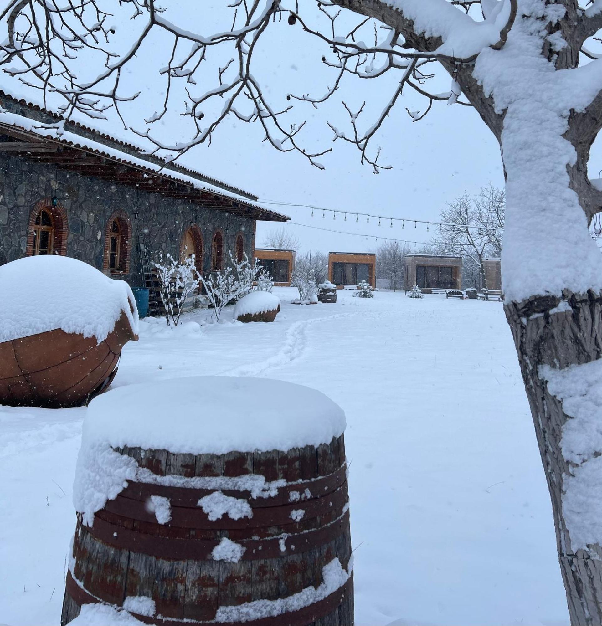 Chubini Winery & Cabins Kvareli Exterior photo