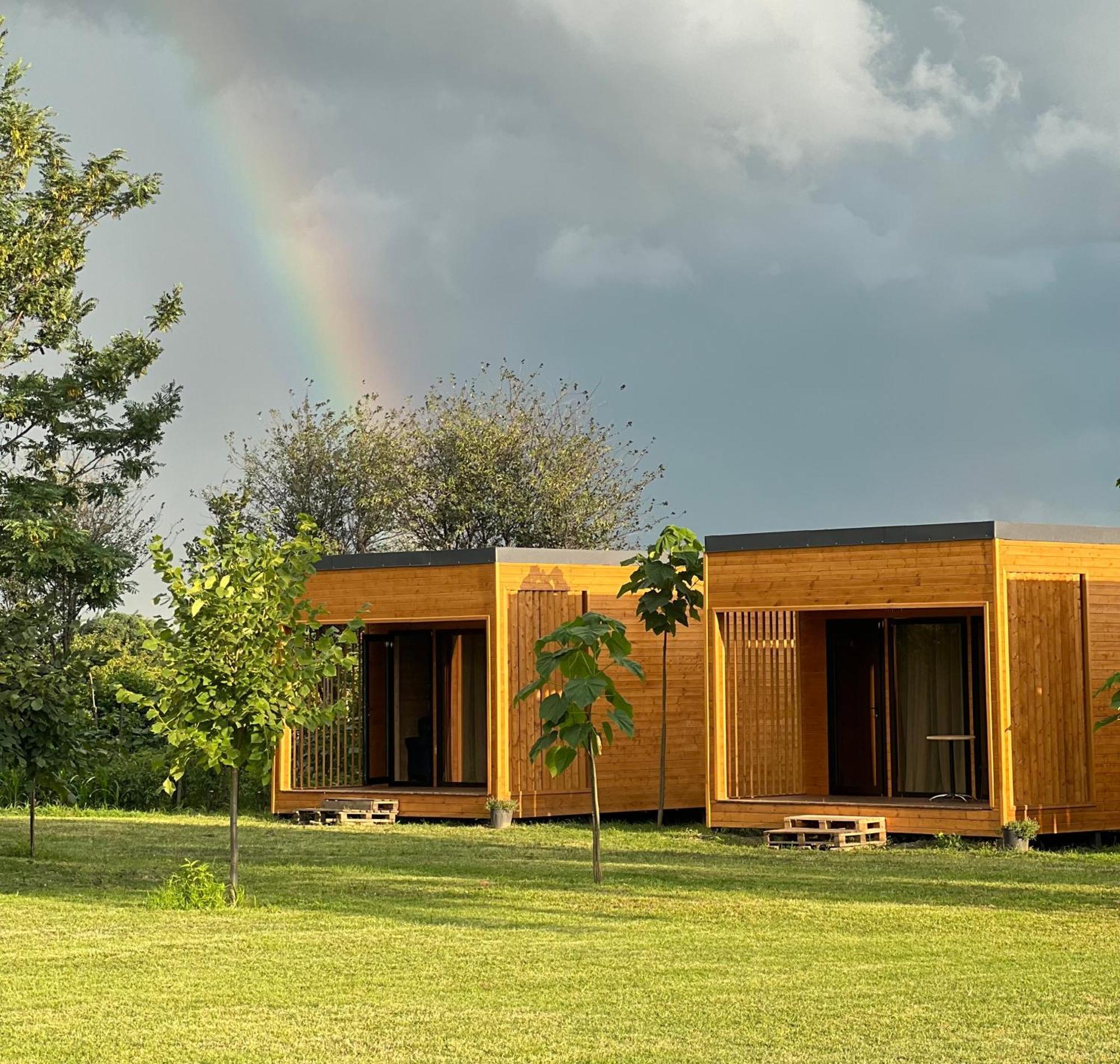 Chubini Winery & Cabins Kvareli Exterior photo