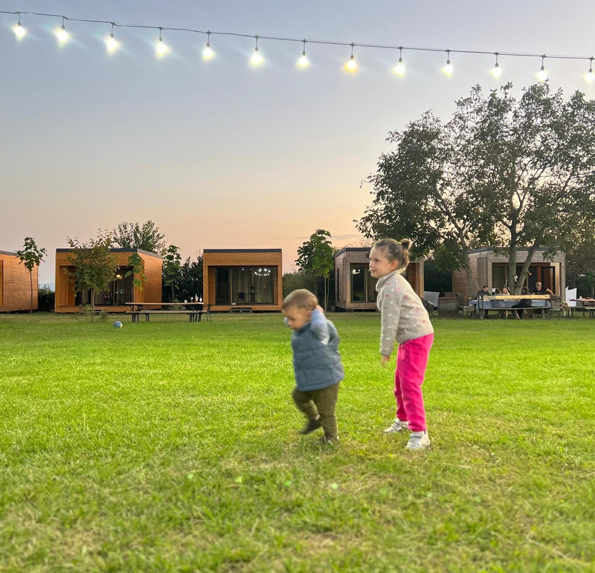 Chubini Winery & Cabins Kvareli Exterior photo