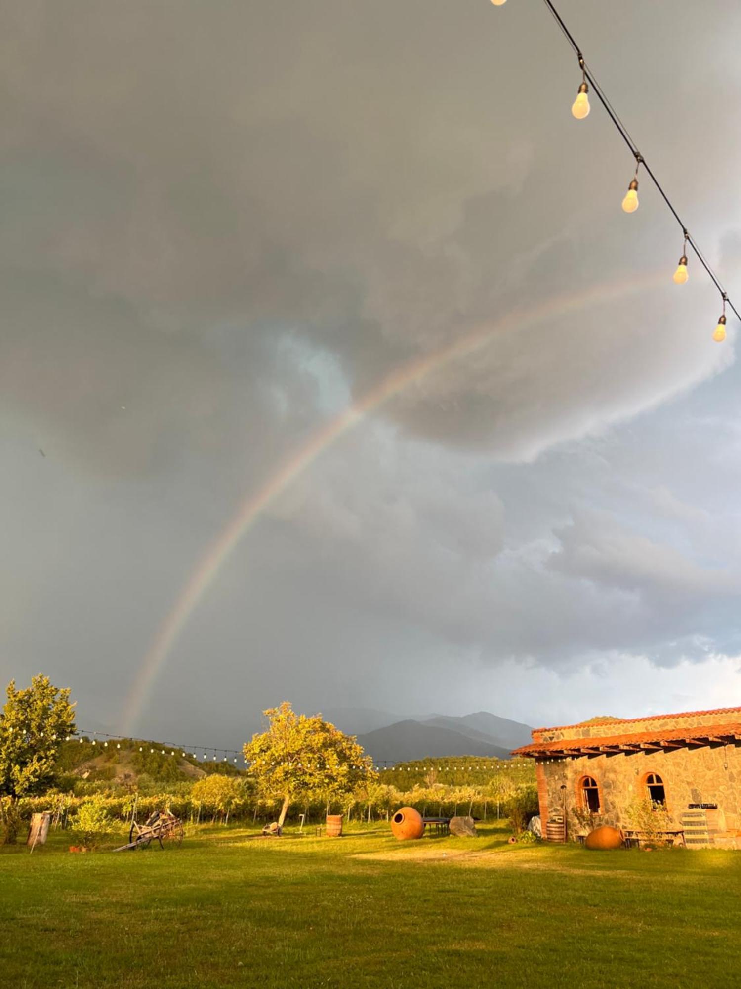 Chubini Winery & Cabins Kvareli Exterior photo